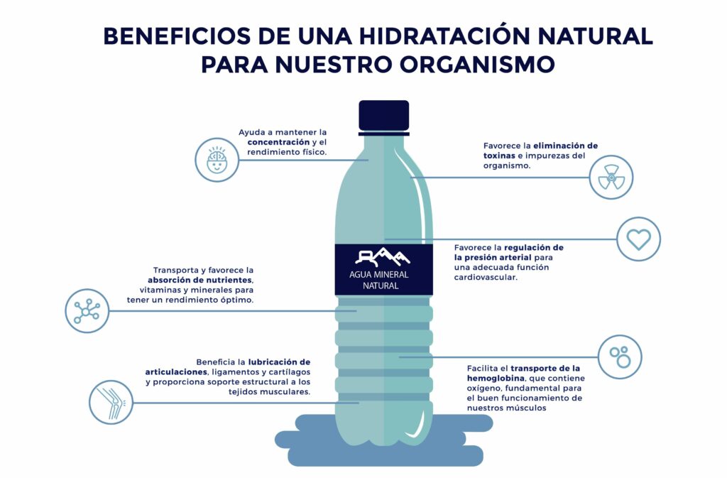 Alimentación saludable: Hidratación y salud en altas temperaturas 1